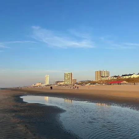 ホームステイ Leoicom