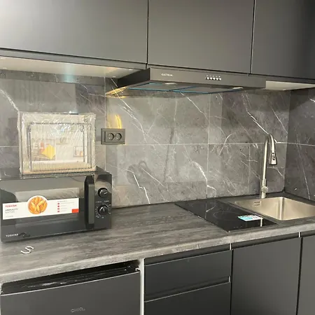 Privat bolig Leoicom Zandvoort