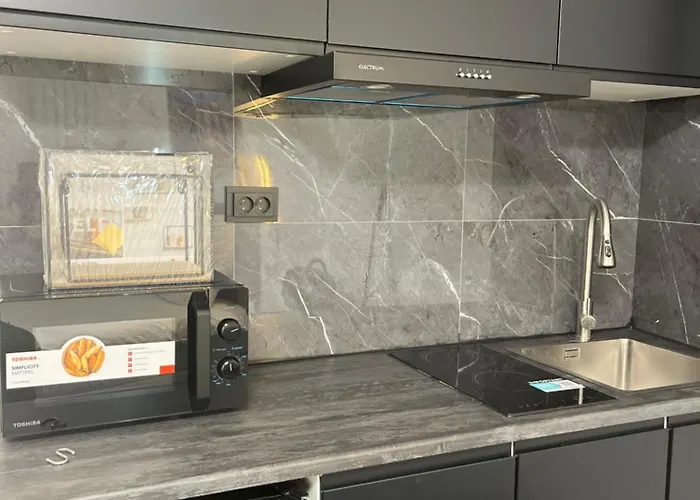 ホームステイ Leoicom ザントフォールト