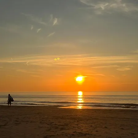 Homestay Leoicom Zandvoort