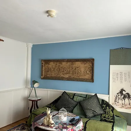 홈스테이 Leoicom 잔드보르트
