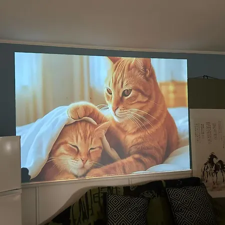 Leoicom Accommodatie bij particulieren