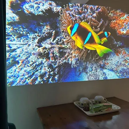 Accommodatie bij particulieren Leoicom *