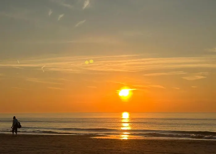 Pansiyon Leoicom Zandvoort