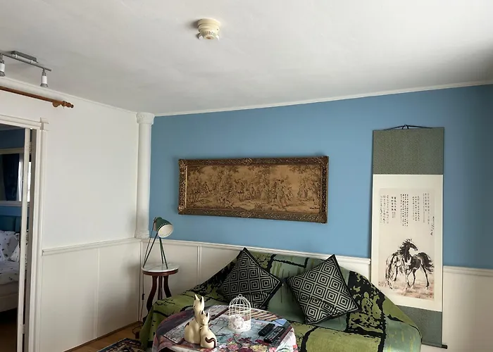 Accommodatie bij particulieren Leoicom Zandvoort